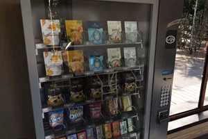 Show details for Virtual Environment Prototype